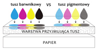 tusz barwnikowy vs tusz pigmentowy